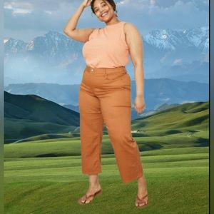 Ava & Viv High Rise Wide Leg Crop Khaki Jeans Coral